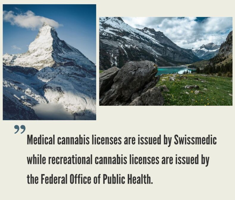 How to Start a Cannabis Business in Switzerland?