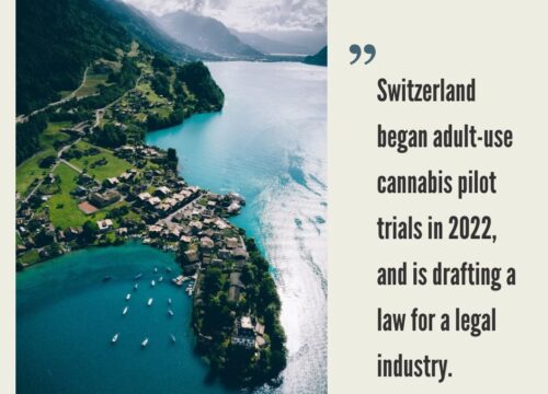Switzerland Cannabis Market