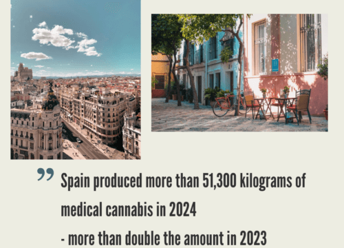 Spanish Cannabis Market