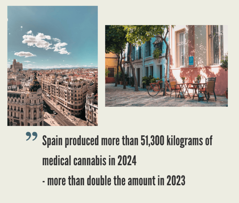 Spanish Cannabis Market