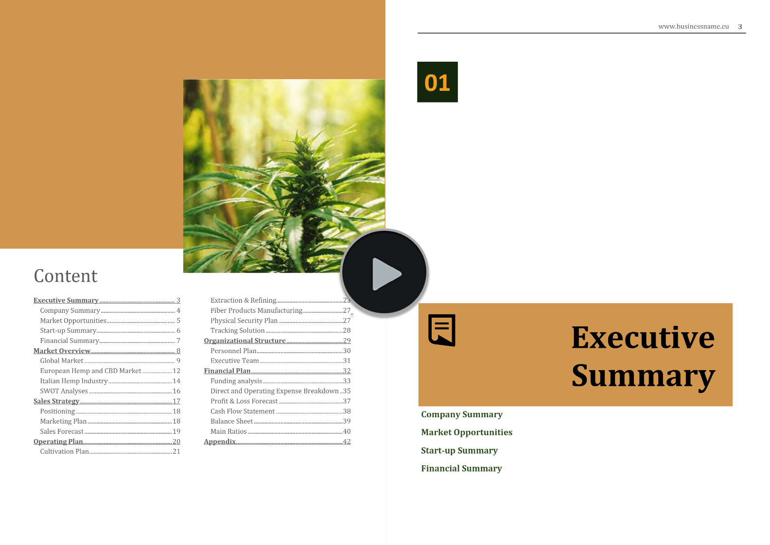 Italian Hemp CBD Industry