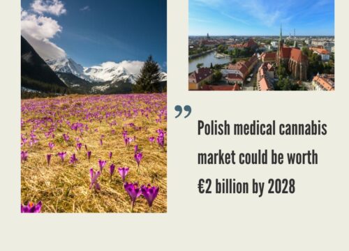 Polish Cannabis Market