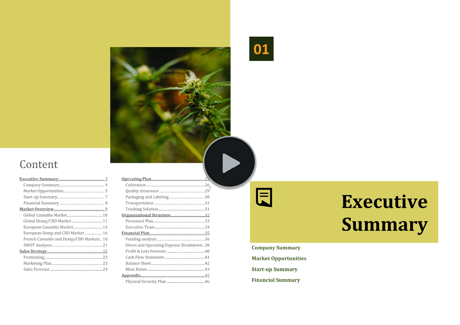 Cannabis Hemp Cultivation Business Plan Template