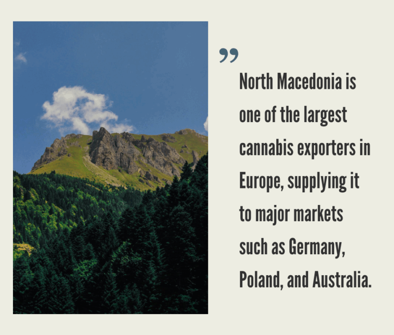 Cannabis Market in North Macedonia