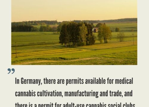 How to Start a Cannabis Business in Germany?