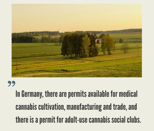 How to Start a Cannabis Business in Germany?