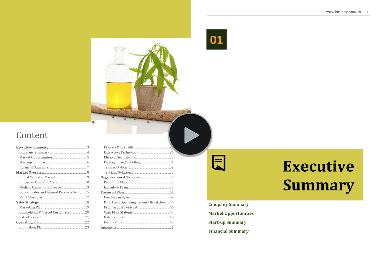 Cannabis Cultivation Extraction Concentrates Business Plan Template