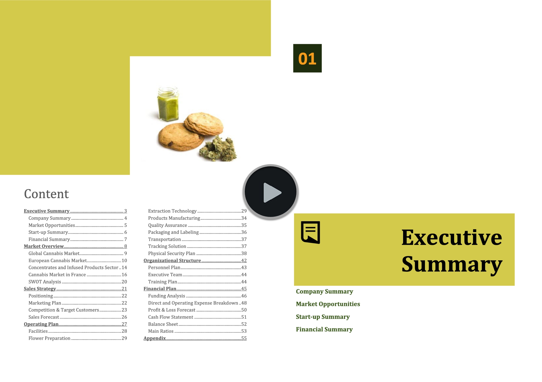 Cannabis Extraction Manufacturing Business Plan Template
