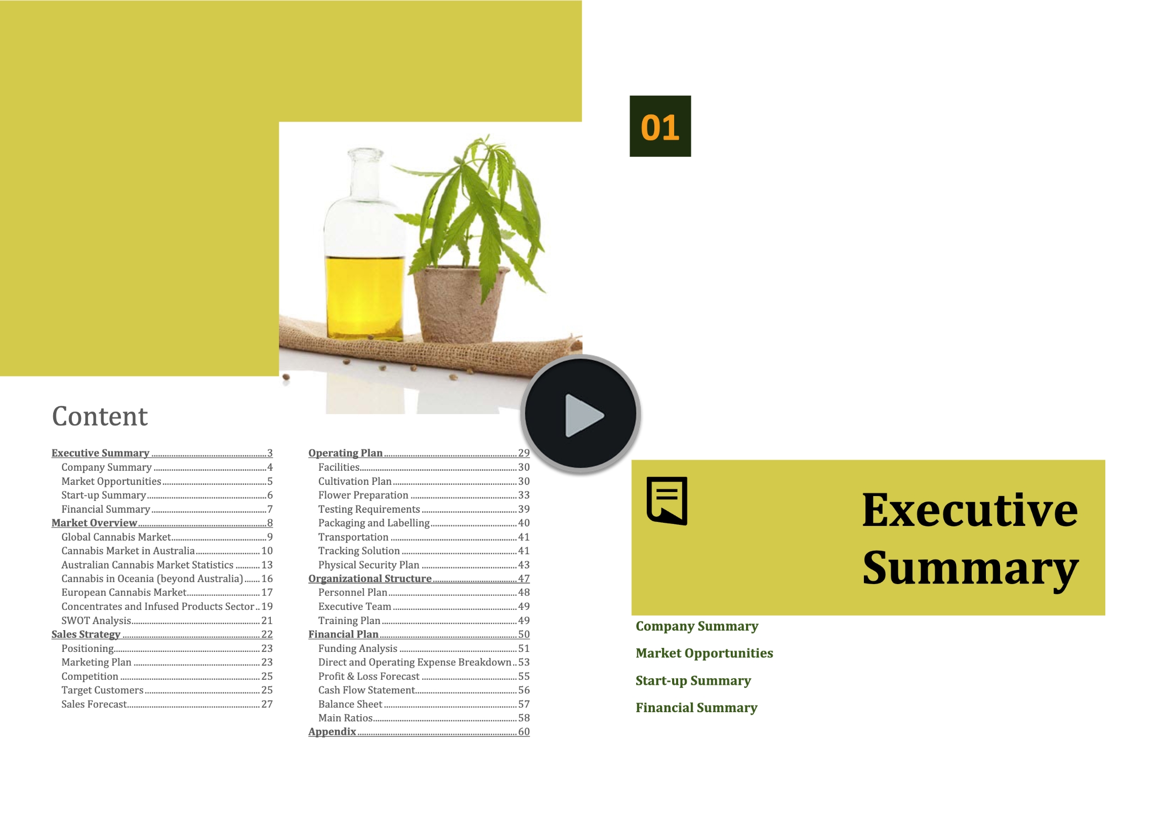 Business Plan Sample Australia